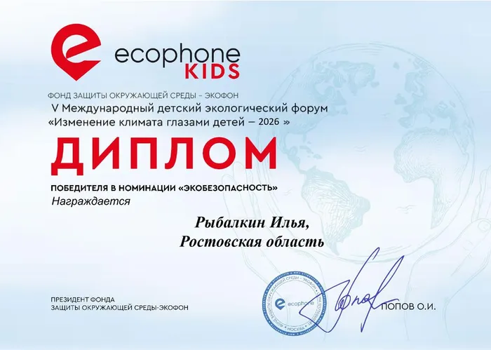 Рыбалкин Илья, (1)_page-0001 (1)