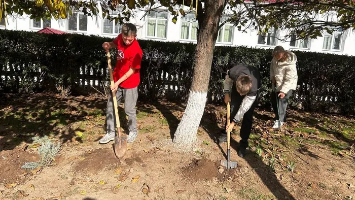 photo_5445020089326895680_y